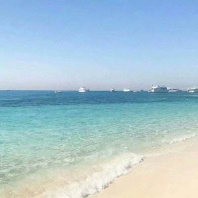 ayx在线登录入口手机app下载