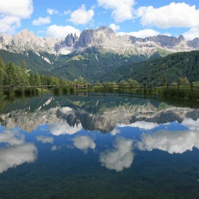 金年会官方APP下载