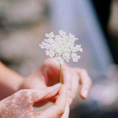 CQ9电子手机app下载